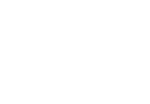 Borinot el Gato