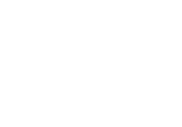 Borinot el Gato